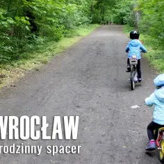 Gdzie na spacer z dzieckiem we Wrocławiu? Odkryj najlepsze miejsca